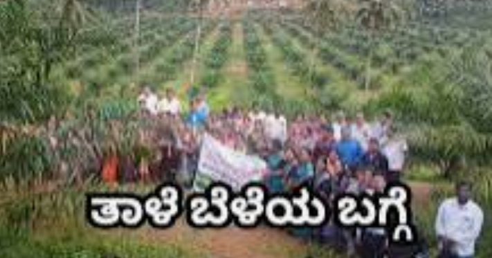 ತಾಳೆ ಬೆಳೆ ಯೋಜನೆಯ ಸದುಪಯೋಗ ಪಡೆದುಕೊಳ್ಳಲು ಮನವಿ