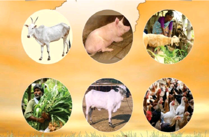 ಜು.15 ರಿಂದ ಆರ್ಥಿಕ ಅಭಿವೃದ್ದಿ ಸುಸ್ಥಿರತೆ ಕುರಿತು ತರಬೇತಿ: ಹೆಸರು ನೋಂದಣಿಗೆ ಸೂಚನೆ