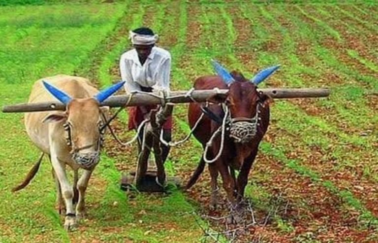 ಬೀದರ ಜಿಲ್ಲೆಯ ರೈತ ಬಾಂಧವರಿಗೆ ತಾಂತ್ರಿಕ ಮಾಹಿತಿ ಕ್ರಮ ವಹಿಸಲು ಸಲಹೆ