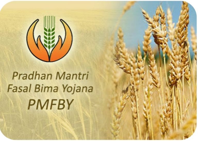 ಪ್ರಧಾನ ಮಂತ್ರಿ ಫಸಲ್ ಬೀಮಾ ಯೋಜನೆ: ಹೆಸರು ಬೆಳೆಗೆ ನೋಂದಾಯಿಸಲು ಜುಲೈ 15 ಕೊನೆ ದಿನ
